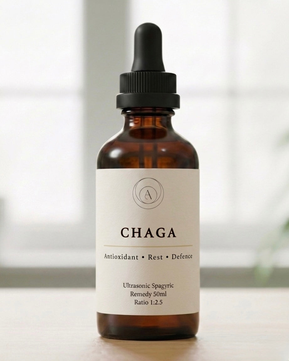 Chaga - Antioxidant & Defence